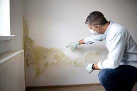 Centereach, NY Mold Removal Company